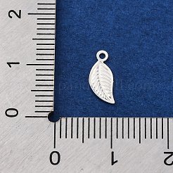 925 Sterling Silver Charms&nbsp;STER-D301-04S-04