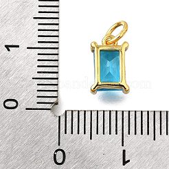 925 Sterling Silver Pave Clear Cubic Zirconia Charms&nbsp;STER-V001-02G-12