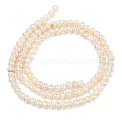 Natural Cultured Freshwater Pearl Beads Strands&nbsp;PEAR-L034-06C