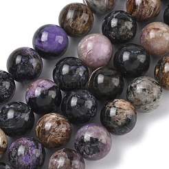 Natural Charoite Beads Strands&nbsp;G-C270-O03-10