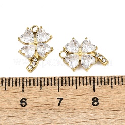 304 Stainless Steel Glass Pendants&nbsp;STAS-P415-05G-02