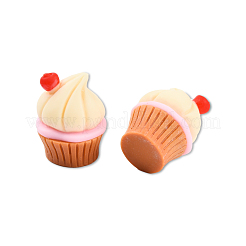 Resin Decoden Cabochons&nbsp;CRES-N022-166