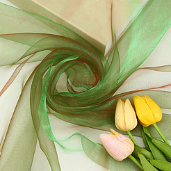 Gradient Polyester Mesh Fabric for DIY Crafts&nbsp;DIY-WH0888-01A