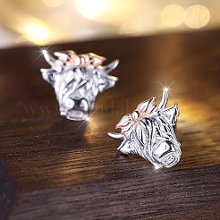 Alloy Stud Earrings&nbsp;FS-WG2CFEC-01