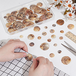 90Pcs 6 Styles Freshwater Shell Buttons&nbsp;SHEL-PH0001-62