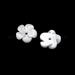 Natural White Shell Beads&nbsp;SH-CBA93AD-07C