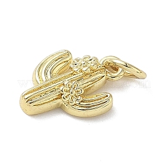 Brass Pendants&nbsp;X-KK-L248-13G