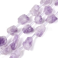 Raw Rough Natural Amethyst Beads Strands&nbsp;G-Q610-04