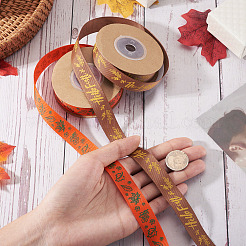 2 Rolls 2 Styles Thanksgiving Day Themes Polyester Ribbon&nbsp;OCOR-TA0003-29B