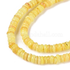 Natural Freshwater Shell Beads Strands&nbsp;SHEL-Q028-01C