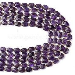 Natural Amethyst Beads Strands&nbsp;G-L654-J01-01