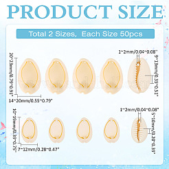 100Pcs 2 Styles Natural Cowrie Shell Pendants&nbsp;BSHE-ME0001-06