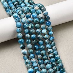Natural Apatite Beads Strands&nbsp;G-G858-01B-01