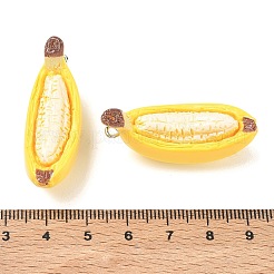 Resin Pendants&nbsp;RE-CBA625B-01