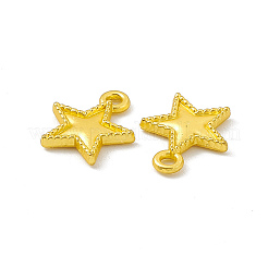 Rack Plating Alloy Pendants&nbsp;FIND-G045-58MG