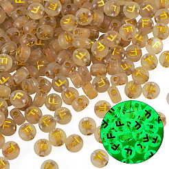 50G Luminous Transparent Acrylic Beads&nbsp;OACR-TAD0001-01F