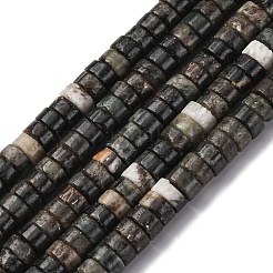 Natural Biotite Beads Strands&nbsp;G-L624-I12-3x6mm