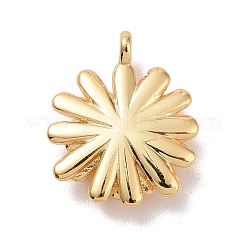 Rack Plating Brass Charms&nbsp;LS-KK-C245-04G