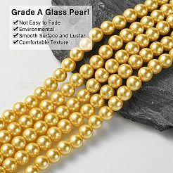 Eco-Friendly Glass Pearl Beads Strands&nbsp;HY-A008-8mm-RB112