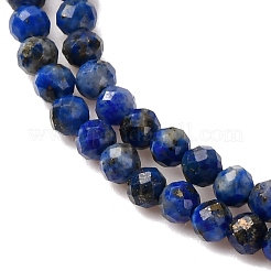 Natural Lapis Lazuli Beads Strands&nbsp;LS-G-D165-B-2mm