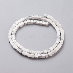 Natural Howlite Beads Strands&nbsp;G-F631-K11