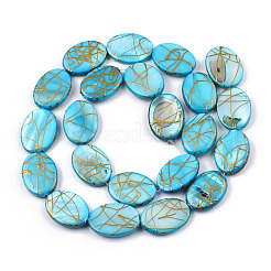 Natural Freshwater Shell Beads Strands&nbsp;X-SSHEL-T007-17
