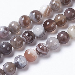 Round Natural Botswana Agate Bead Strands&nbsp;G-I166-02-6mm