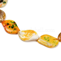 Dyed Natural Agate Beads Strands&nbsp;G-U029-I01