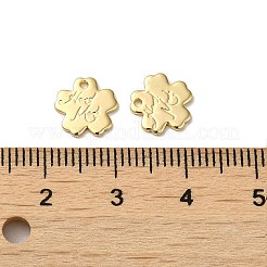 Brass Charms&nbsp;KK-B079-19G