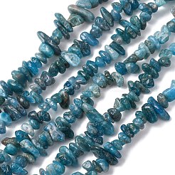 Natural Apatite Beads Strands&nbsp;X-G-F666-01B-02-01