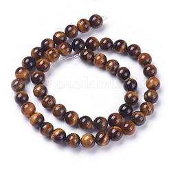 Round Tiger Eye Beads Strands&nbsp;Z0RQT012
