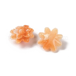 Synthetic Shell Dyed Beads&nbsp;SHEL-C006-01