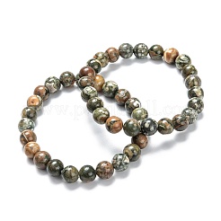 Natural Rhyolite Jasper Stretch Beaded Bracelets&nbsp;G-A185-01S