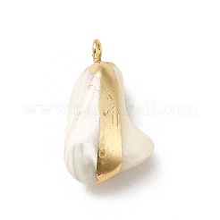 Natural Trochus Shell Pendants&nbsp;BSHE-E025-01LG