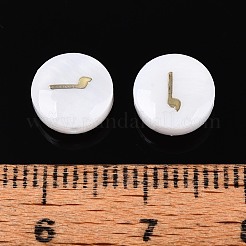 Natural Freshwater Shell Beads&nbsp;LS-BSHE-ZX007-03E