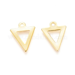 304 Stainless Steel Charms&nbsp;X-STAS-I123-18G
