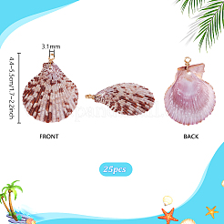 25Pcs Natural Shell Pendants&nbsp;PALLOY-PH01859
