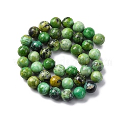 Natural Variscite Bead Strands&nbsp;G-G-P444-01A