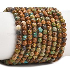 Natural African Turquoise(Jasper) Beads Strands&nbsp;G-Z163-B02-4mm