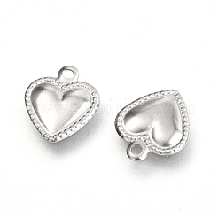 Non-Tarnish 304 Stainless Steel Charms&nbsp;STAS-I179-03P