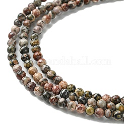Natural Leopard Skin Jasper Beads Strands&nbsp;G-K365-C01-01