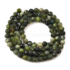 Natural Canadian Jade Beads Strands&nbsp;G-G259-D01-4mm