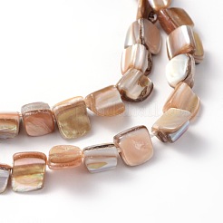 Erose Shell Beads Strands&nbsp;PBB071Y