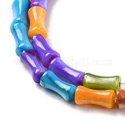 Natural Freshwater Shell Dyed Beads Strands&nbsp;SHEL-R129-03