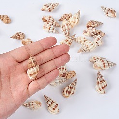 Spiral Shell Beads&nbsp;BSHE-YW0001-02