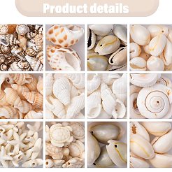 DIY Conch Shell Starfish Turtles Beads Findings Kits&nbsp;DIY-FS0010-25