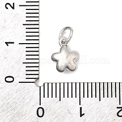 Brass Pendants&nbsp;KK-I364-23P