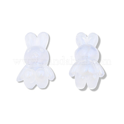 Transparent Acrylic Beads&nbsp;X-OACR-N008-172F