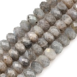 Natural Labradorite Beads Strands&nbsp;G-C259-A41-5x8mm