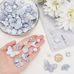 100G Plastic Pendants & Beads & Decoden Cabochons&nbsp;OHAR-SC0002-99B